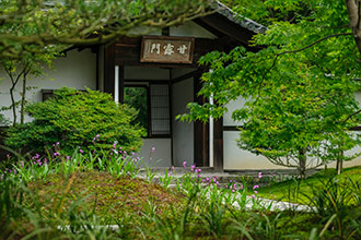 西来院 甘露門